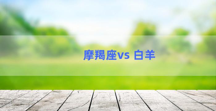 摩羯座vs 白羊